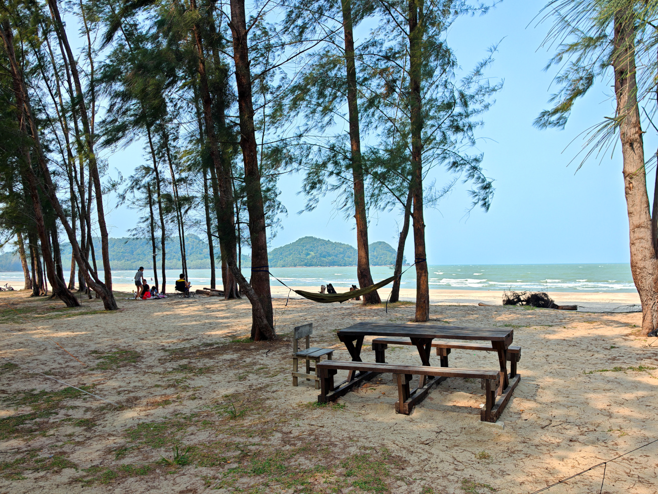 Trees and benches